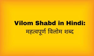 Vilom Shabd in Hindi: महत्वपूर्ण विलोम शब्द